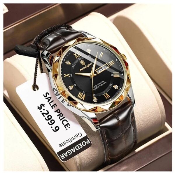 Luxury Men's Watch