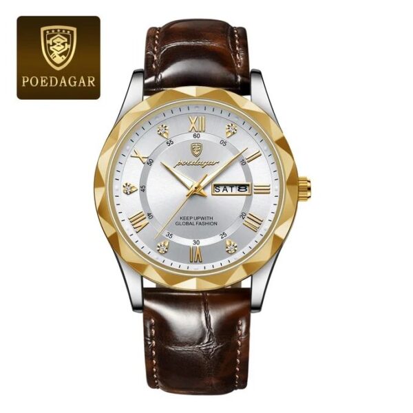 Luxury Men's Watch (Poedagar)