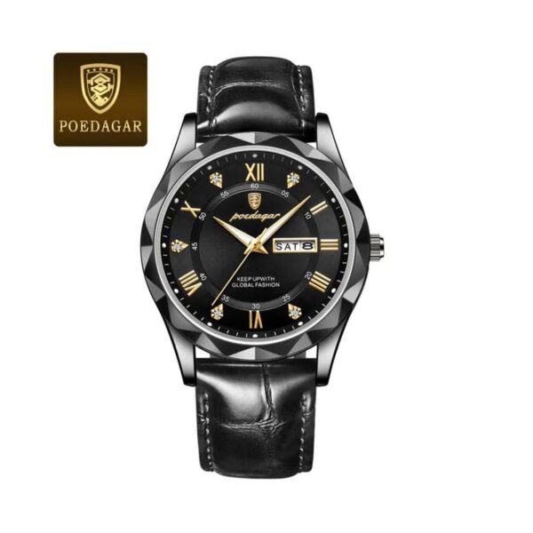Luxury Men's Watch